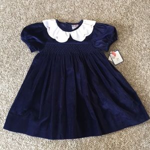 Vintage Navy Blue Velvet Dress Petit Ami